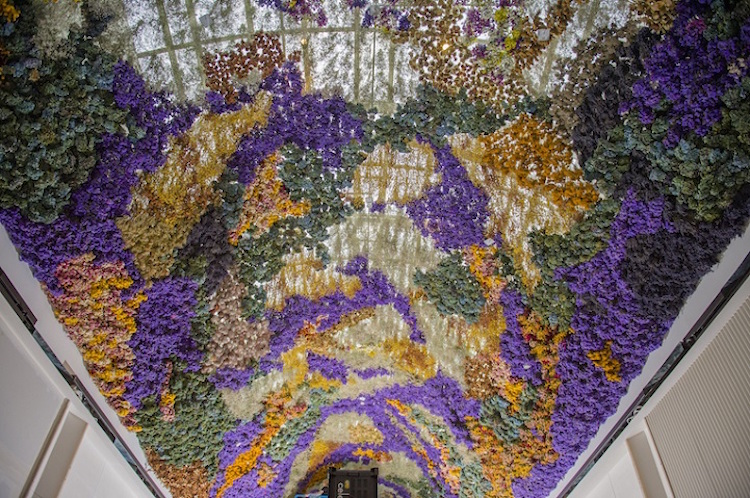 Art Made of Flowers