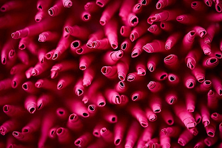 Paper Art Coral Reef by Mlle Hipolyte