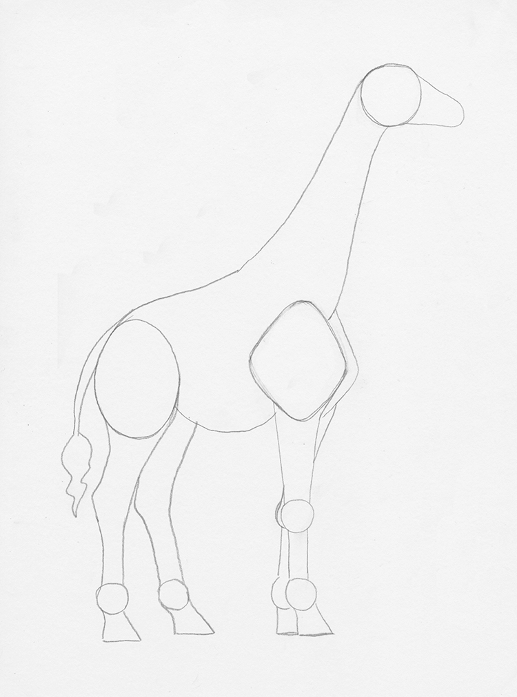 How to Draw a Giraffe