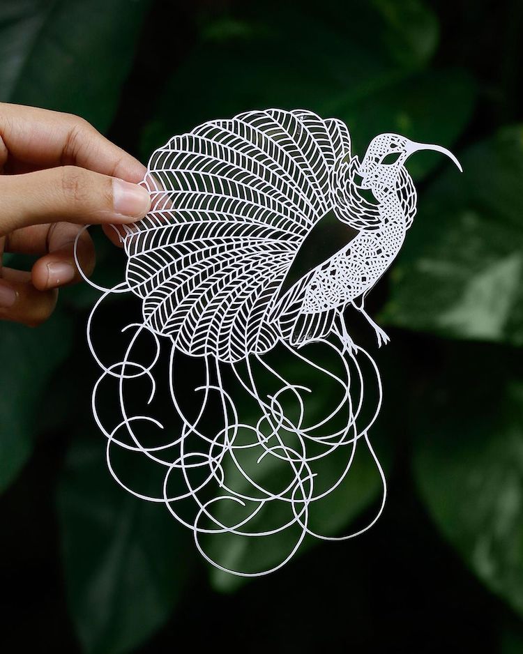 Paper Cut Outs by Parth Kothekar