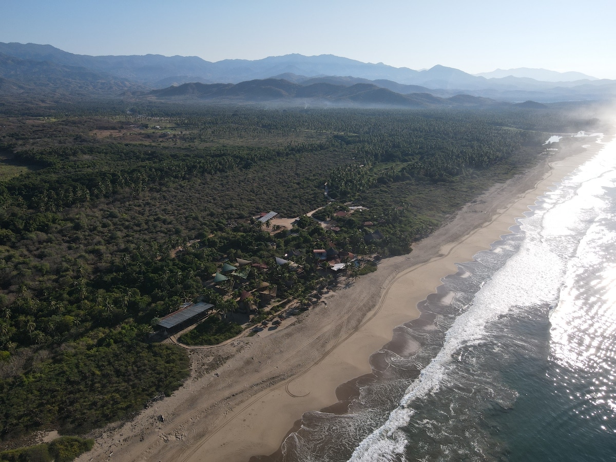 Aerial View of Bamboo Treehouses at Playa Viva by Atelier Nomadic