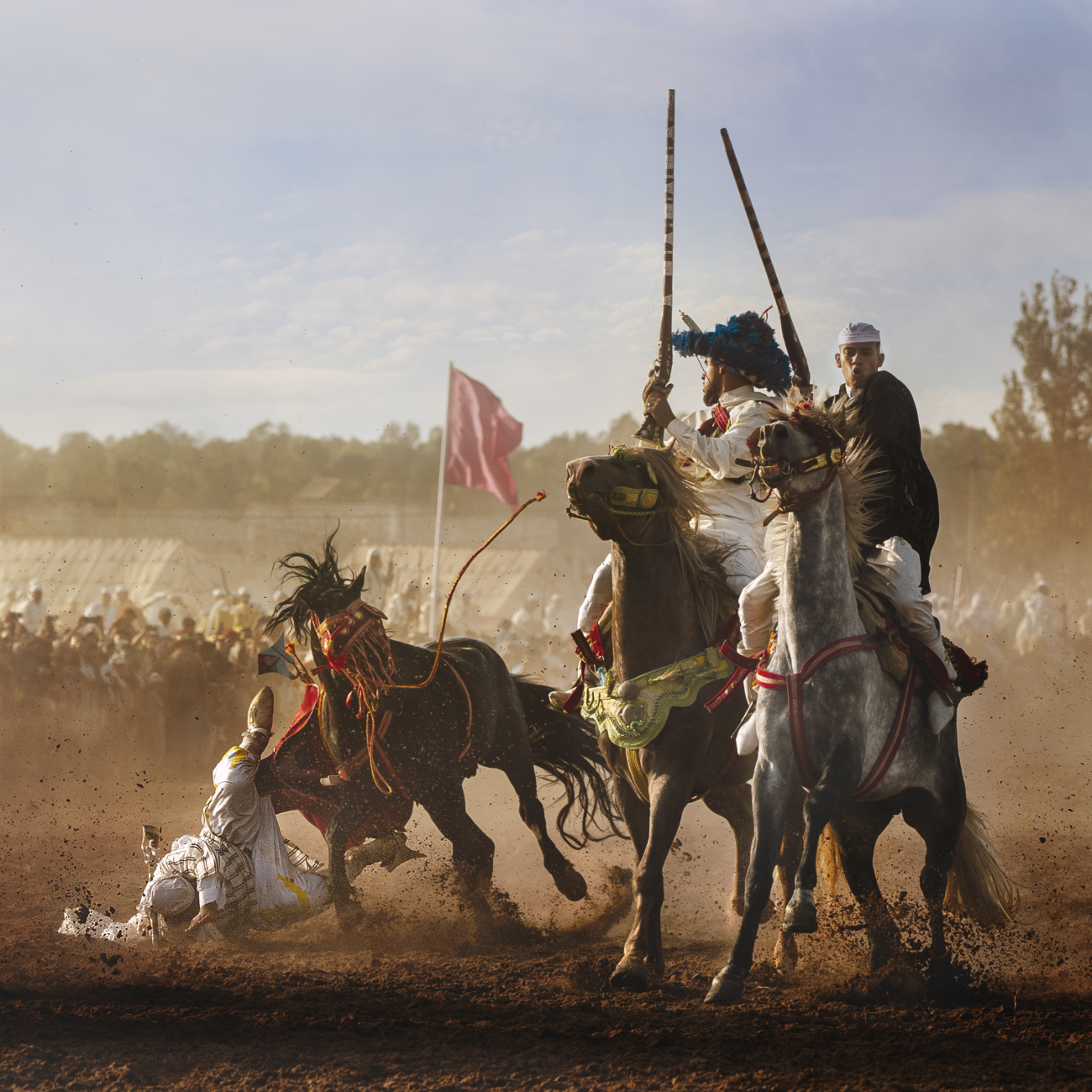 Rider thrown from their mount at a Moroccan ‘tbourida’ show