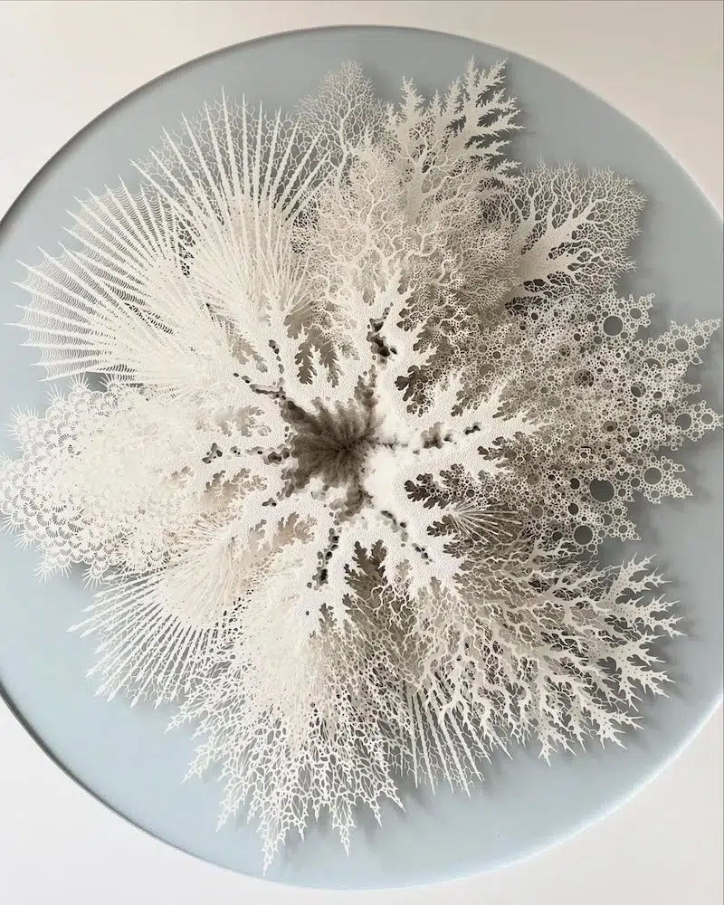 "Coral Bloom" Paper Art by Rogan Brown
